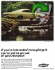 Chevrolet 1965 149.jpg